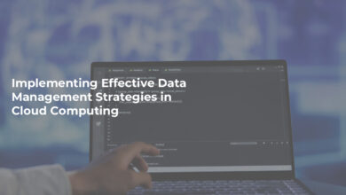 Effective Enterprise Data Management Strategies